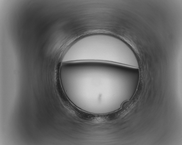 X0000116560111200912100951