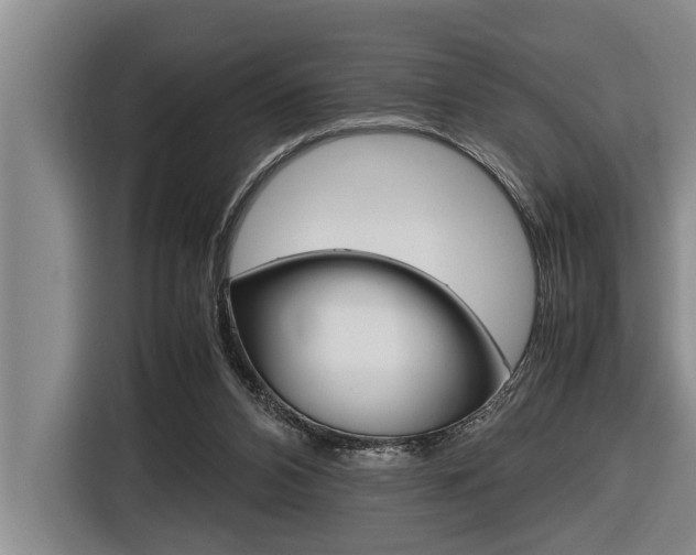 X0000116560112200912100951
