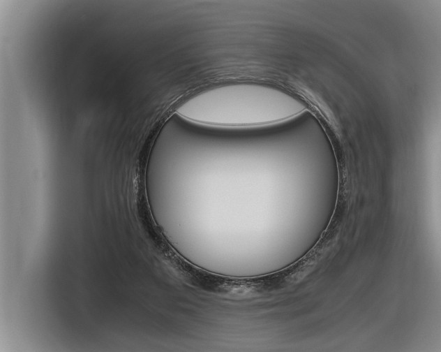 X0000116560113200912100951