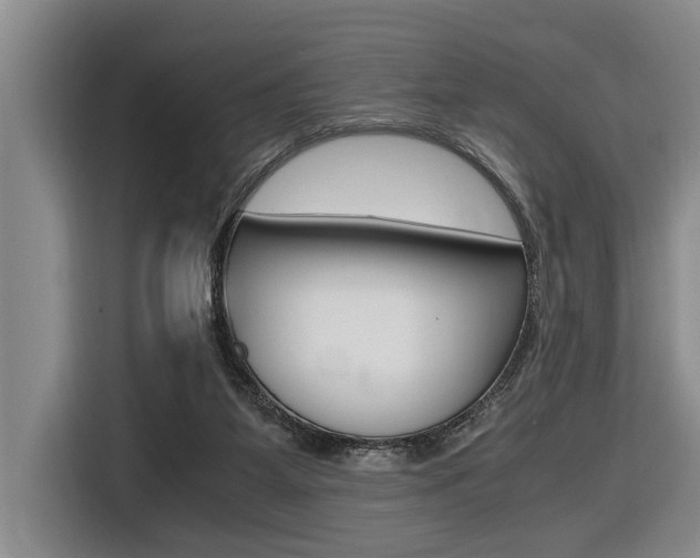 X0000116560115200912100951