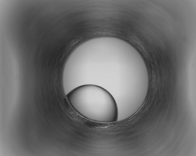 X0000116560116200912100951