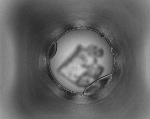 X0000116560117200912100951