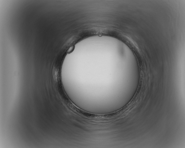 X0000116560123200912100951