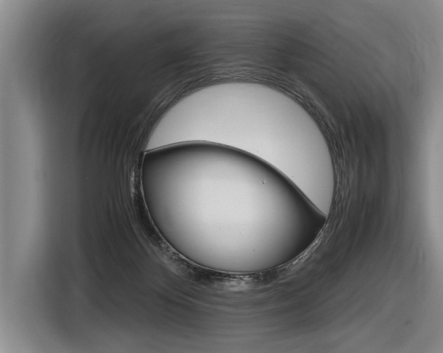 X0000116560124200912100951
