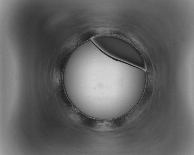 X0000116560125200912100951