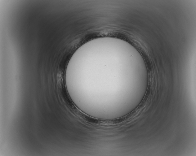 X0000116560127200912100951