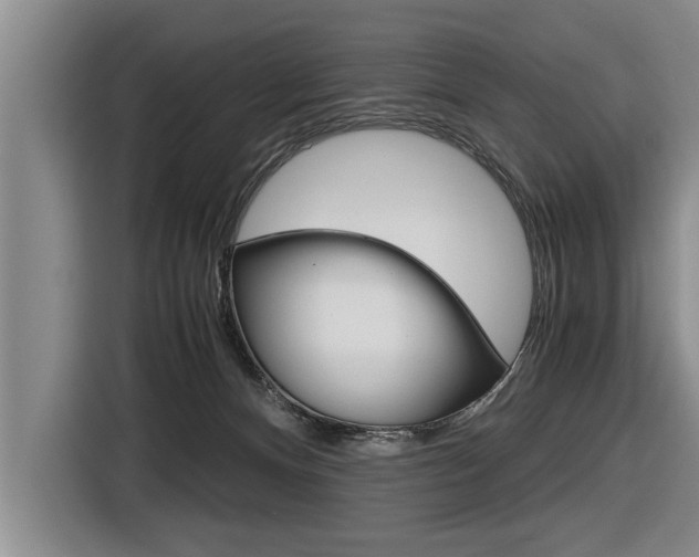 X0000116560128200912100951