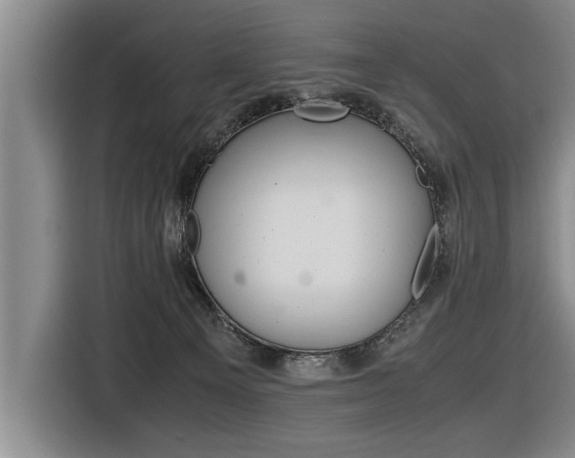 X0000116560129200912100951