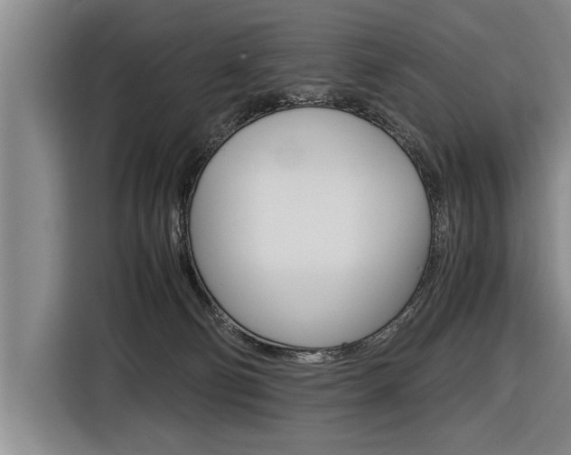 X0000116560130200912100951