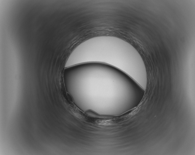 X0000116560132200912100951