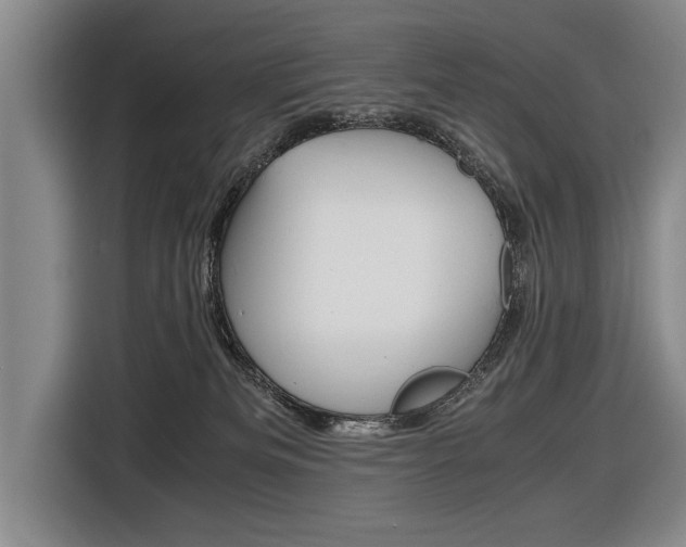 X0000116560133200912100951