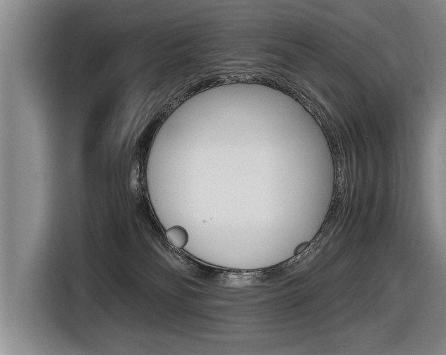 X0000116560134200912100951