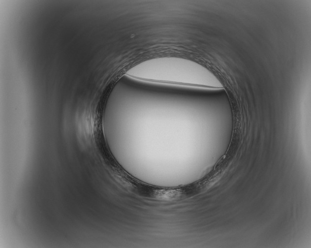 X0000116560135200912100951