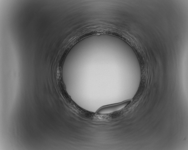 X0000116560137200912100951