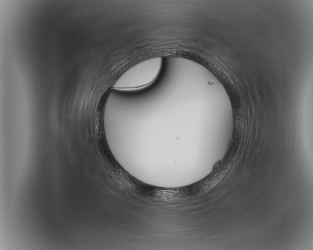 X0000116560139200912100951