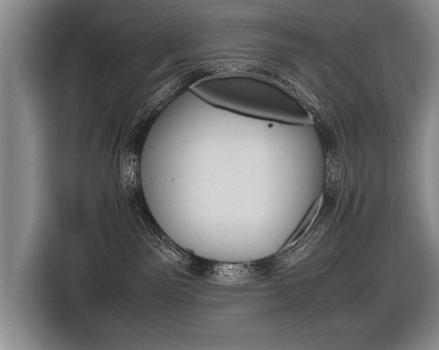 X0000116560141200912100951