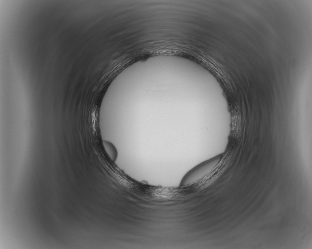 X0000116560142200912100951