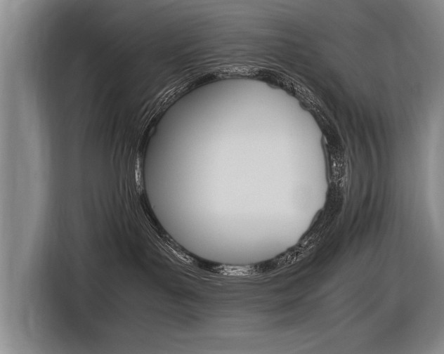 X0000116560143200912100951