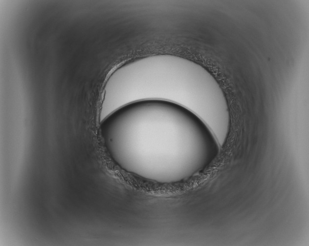 X0000116560144200912100951