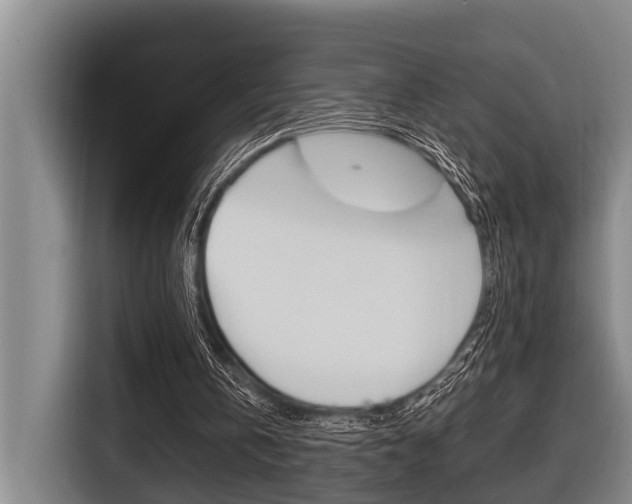 X0000116560146200912100950