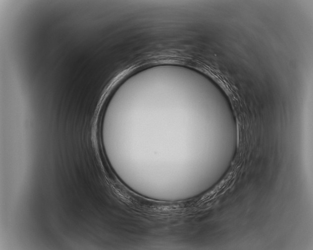 X0000116560147200912100950