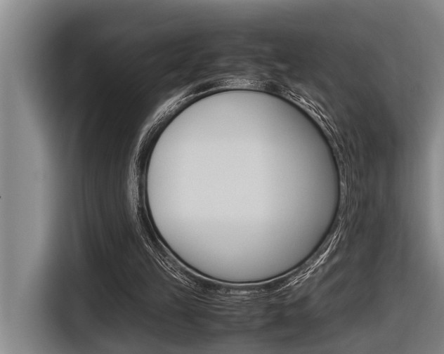 X0000116560149200912100950