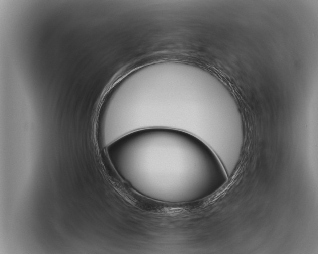 X0000116560150200912100950