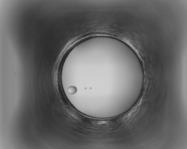 X0000116560151200912100950