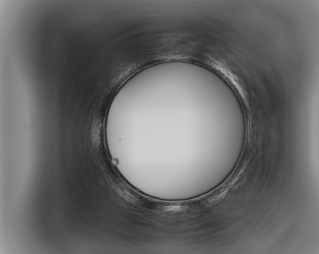 X0000116560153200912100950