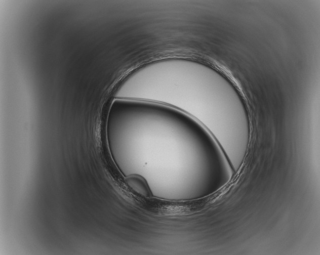 X0000116560154200912100950