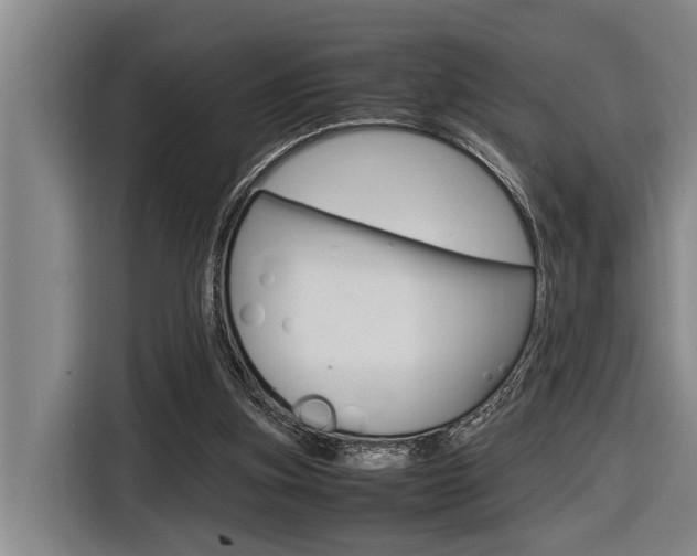 X0000116560155200912100950