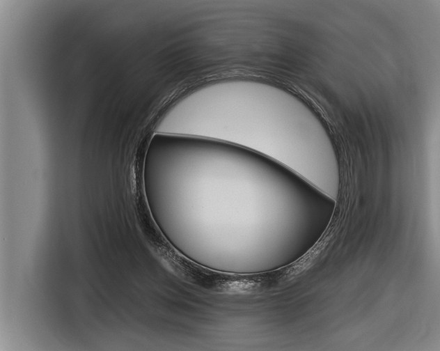 X0000116560158200912100950