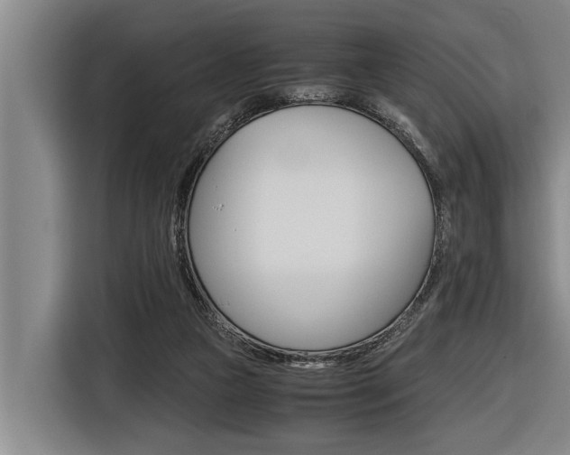 X0000116560161200912100950