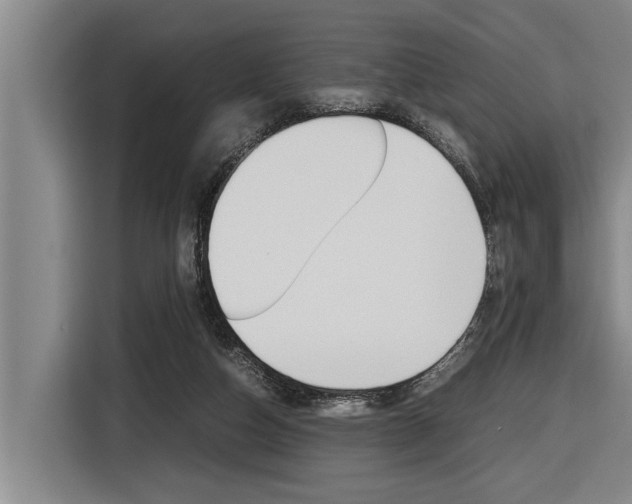X0000116560162200912100950