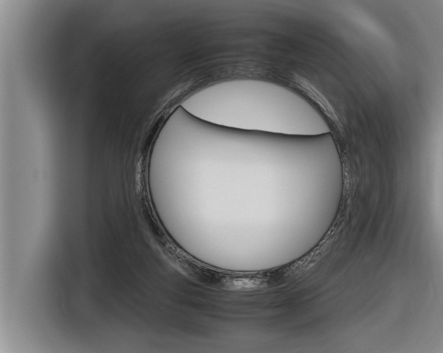 X0000116560163200912100950