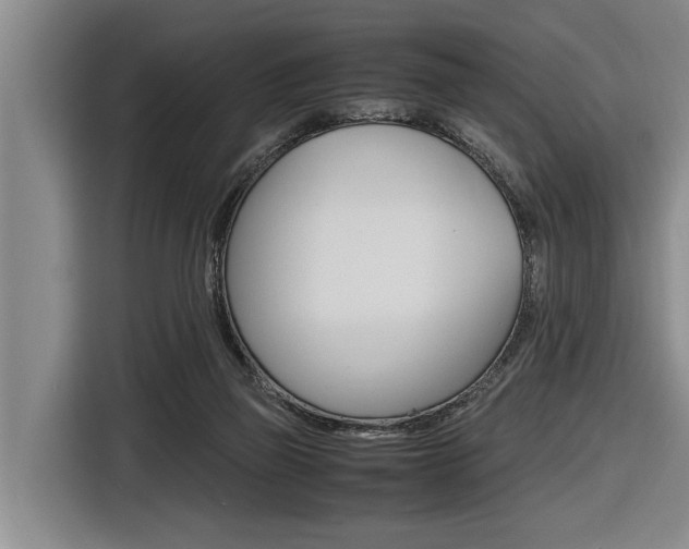 X0000116560165200912100950
