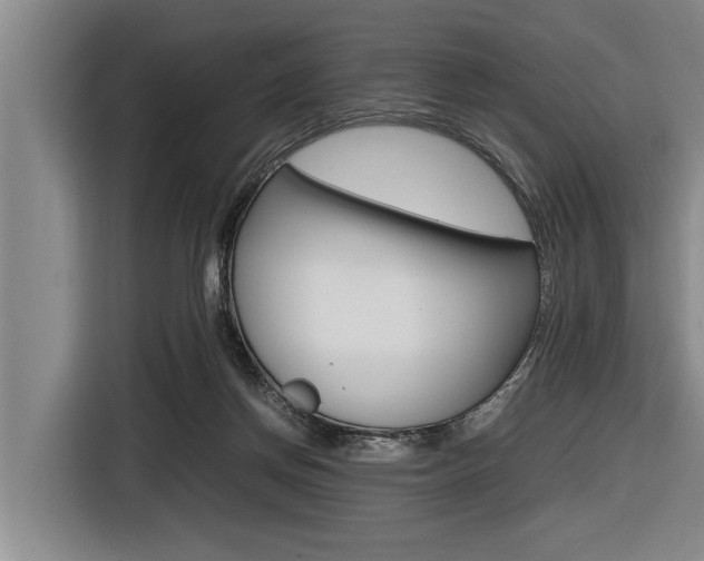 X0000116560166200912100950