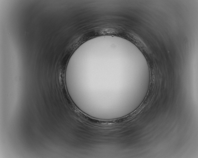 X0000116560169200912100950