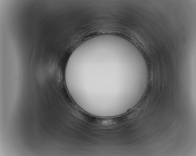 X0000116560173200912100950
