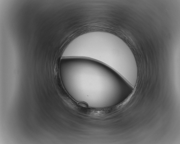 X0000116560174200912100950