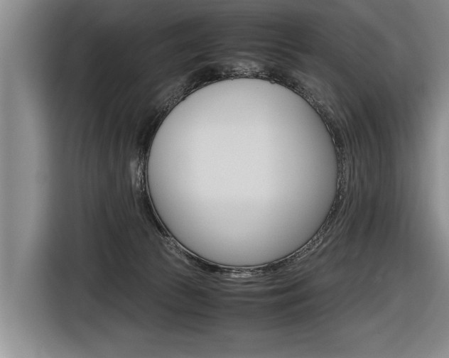 X0000116560177200912100950