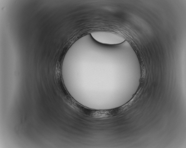 X0000116560179200912100951
