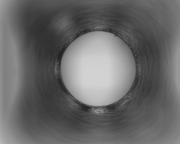 X0000116560181200912100951