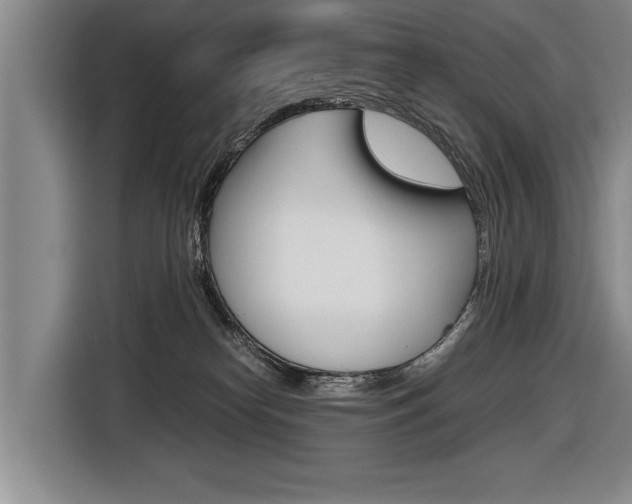 X0000116560182200912100951