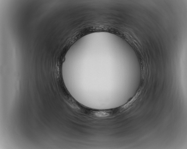 X0000116560183200912100951