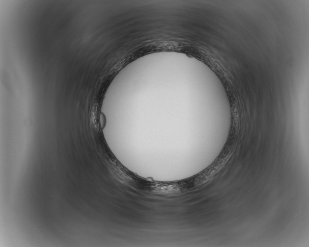 X0000116560185200912100951