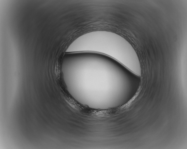 X0000116560186200912100951