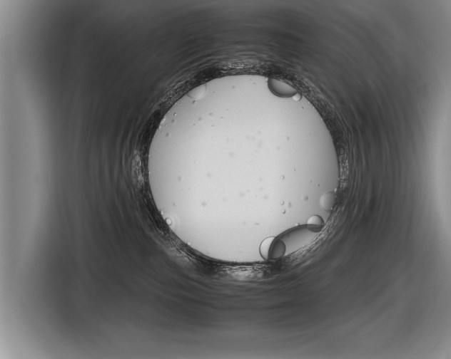 X0000116560187200912100951