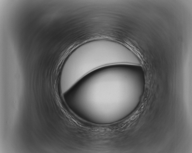 X0000116560193200912100950