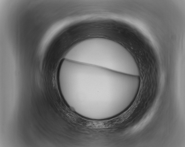 X0000116560194200912100950